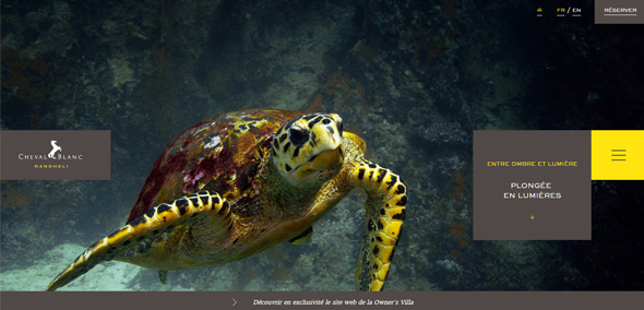 ��(gu��)������Ʒ�W(w��ng)վ ����Ʒ�W(w��ng)վ �W(w��ng)վ�O(sh��)Ӌ(j��)�p�R(sh��) �W(w��ng)վ�O(sh��)Ӌ(j��)